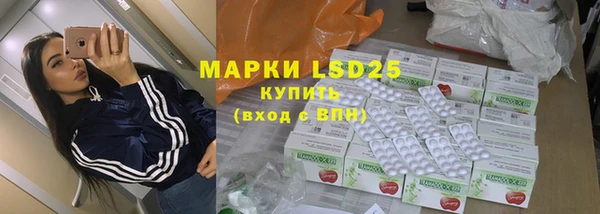амф Новодвинск