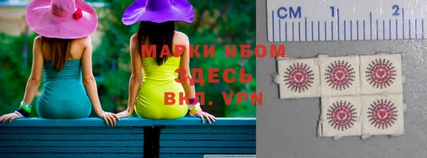 дмт Новозыбков