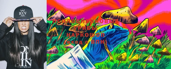 амф Новодвинск