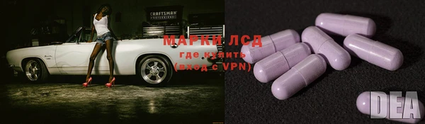 амф Новодвинск