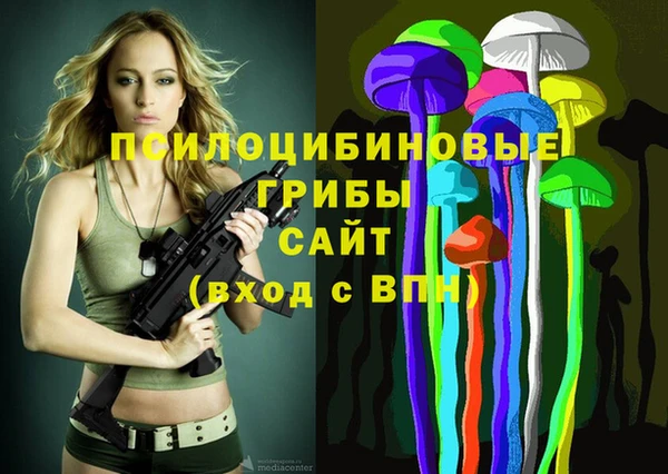 МДПВ Нязепетровск